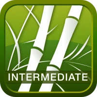 Human Japanese Intermediate
